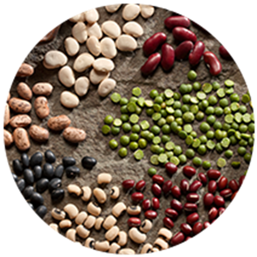 Φασόλια και λαχανικά πλούσια σε μαγνήσιο